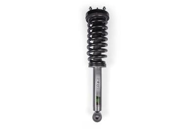 LOADED STRUT ASSEMBLY