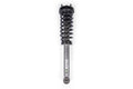 LOADED STRUT ASSEMBLY