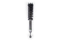 LOADED STRUT ASSEMBLY